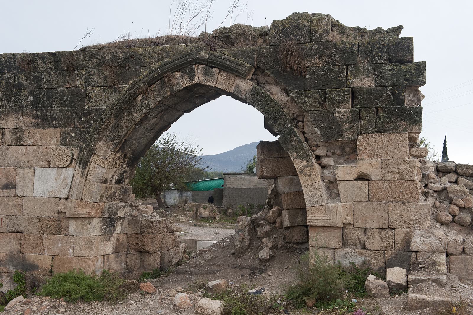 Misis (Mopsuestia) Antik Kenti ve Mozaik Müzesi 2. fotoğraf
